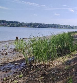 Завершено расследование уголовного дела по факту незаконной добычи водных биологических ресурсов